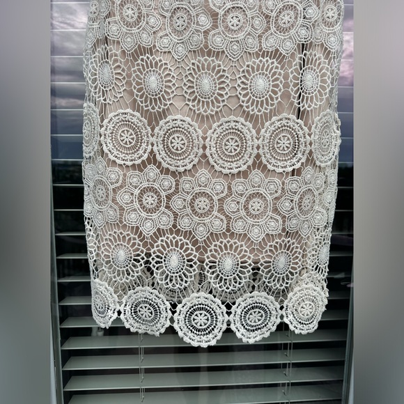 Eliza J Lace Sleeveless Shift Dress Size 6 Crochet Scalloped Hem Bohemian - Picture 7 of 9